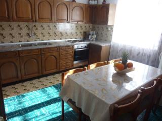 Apartments VILLA SEKULOVIC - 4