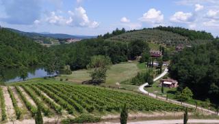 Agriturismo San Bernardino Del Lago - Rapolano Terme - 7