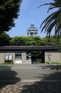 湘南江の島 御料理旅館 恵比寿屋 - Fujisawa - 4
