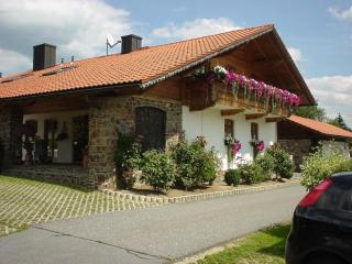 Ferienwohnung Späth - Neuschönau - 0