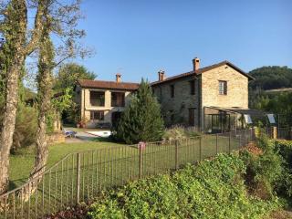 Villa Natura Piemonte with pool - Castino - 7