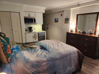 Beautiful Oceanview Condo with 75 inch TV - 5