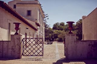Azienda Agricola Mandranova - 8