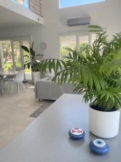 A Homes Greece - Modern Villa with Private Garden Near the Beach - 5