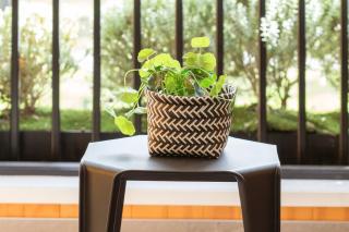 Parkside Retreat Near Hospital Inside 4 Avenues - Christchurch - 8