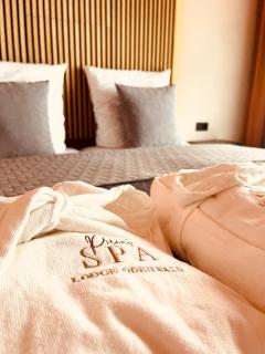 Private Spa Lodge Odenwald - 9