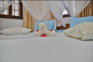 We Call it Home - Kiwengwa Villa - Kumba Urembo - 6