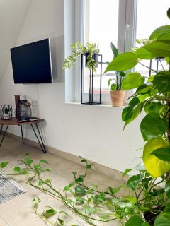 Ahaus: Stadtoase mit Terrasse & privater Garage - Ahaus - 7