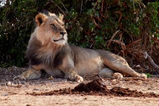 Jacyjoka Apartments Nyali - 3