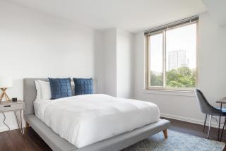Tysons Corner 2br w pool pet salon wd WDC-816 - - 5