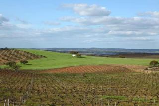 Turismo Rural Pedremoura - 7