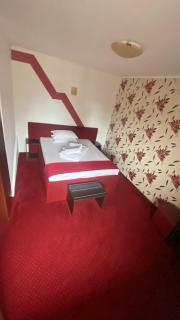 Pension La Viorel Isaila - Sibiu - 8