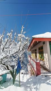 Sojhaholidayinn - 2