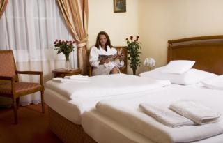 Hotel Saint Antonius - Mariánské Lázně - 3