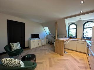 außergewöhnliche Ferienwohnung Stadtvilla Plauen - Plauen - 6