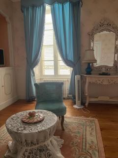 Chateau De Mesnac - Mesnac - 5