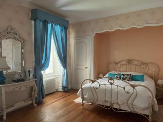 Chateau De Mesnac - Mesnac - 6