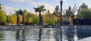 Villa Otilia-Bed and Breakfast-Chambres d'hôtes en Provence - Rians - 9