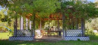 Pink Lemon House - Elche - 4