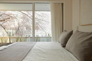 Hestia At Palermo Cozy & Bright 1 Bdr - Buenos Aires - 5