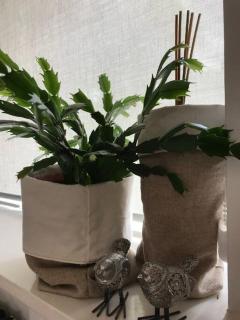 COZY APPARTMENT Free parking - 2