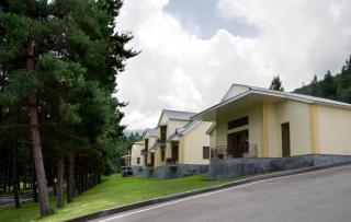Hotel Dilijan Resort - Dilijan - 9