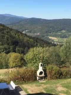 Ferienland Sonnenwald Fewo 46 - 1