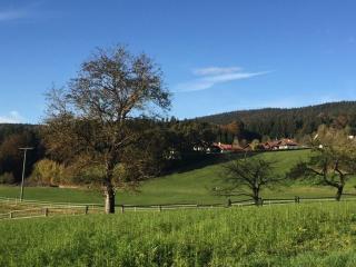 Ferienwohnung Waldblick FEWO 502 - Freudensee - 3