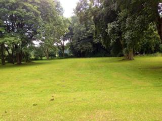 Schloss Grabow, Resting Place & a Luxury Piano Collection Re - Grabow - 4
