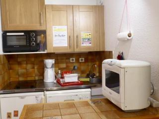 Studio confortable pour 4 pers, balcon, proche télésiège, parking privé, animaux acceptés - FR-1-263-379 - Valloire - 8