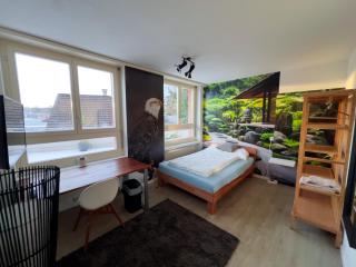 Gery's Camp - Lucerna - 7