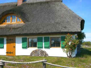 Appartement im Fischerhaus Hiddensee 22 qm - Neuendorf - 5