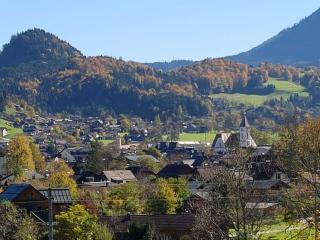 Apartments Winkler - Bad Goisern - 7
