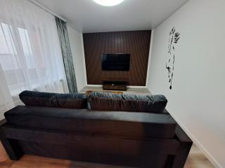 Jaukūs apartamentai centre A. J. Greimo g. - 7