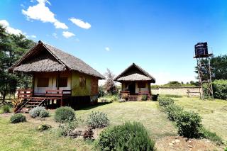 The Lookout Manor - 1