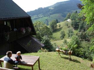 Ferienhaus Rombach - Wieden - 7