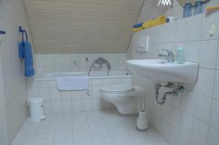 Ferieninsel an der Dreisam - 1