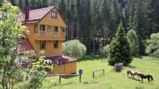 Haus Heimburg - Friedenweiler-Rotenbach - 8