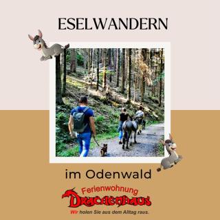 Ferienwohnung Drachenhaus WIR holen Sie aus dem Alltag raus - Rimbach - 2