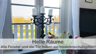 Ferienwohnung im Gutshaus, Entschleunigung pur für erholsame Tage - Hohen Wieschendorf - 4