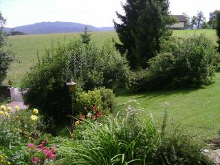 Ferienwohnung in Haidach - Pettighofen - 3