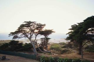 A Casa do Guincho, Beach House - Areias - 2