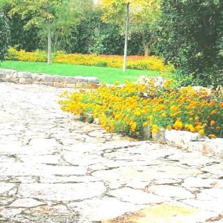 Casa Marisa Villa Vacanza - Castellana Grotte - 2