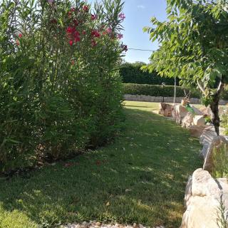 Casa Marisa Villa Vacanza - Castellana Grotte - 5