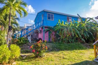 Posada Bella Vista Bush Bottom - Providencia - 7