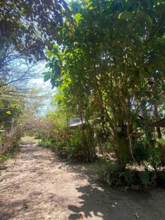 i Am i Farm Stay - Ban Mae Ta Man (1) - 1