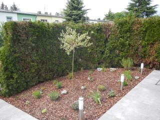 Viktoria - Koblenz - 2