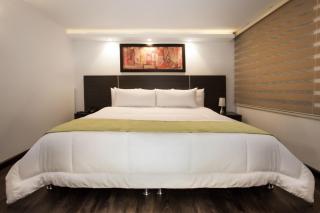 Hotel Torre del Bosque Pasto - 8