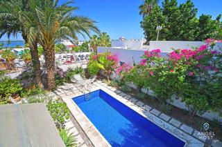 Private pool, Oceanview Rooftop in Historic La Paz - La Paz - 5