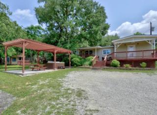 The Hideaway at Hills Haven - Wimberley - 1